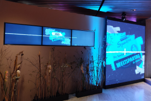 VAME; Visuals, Animation; LED-Wall